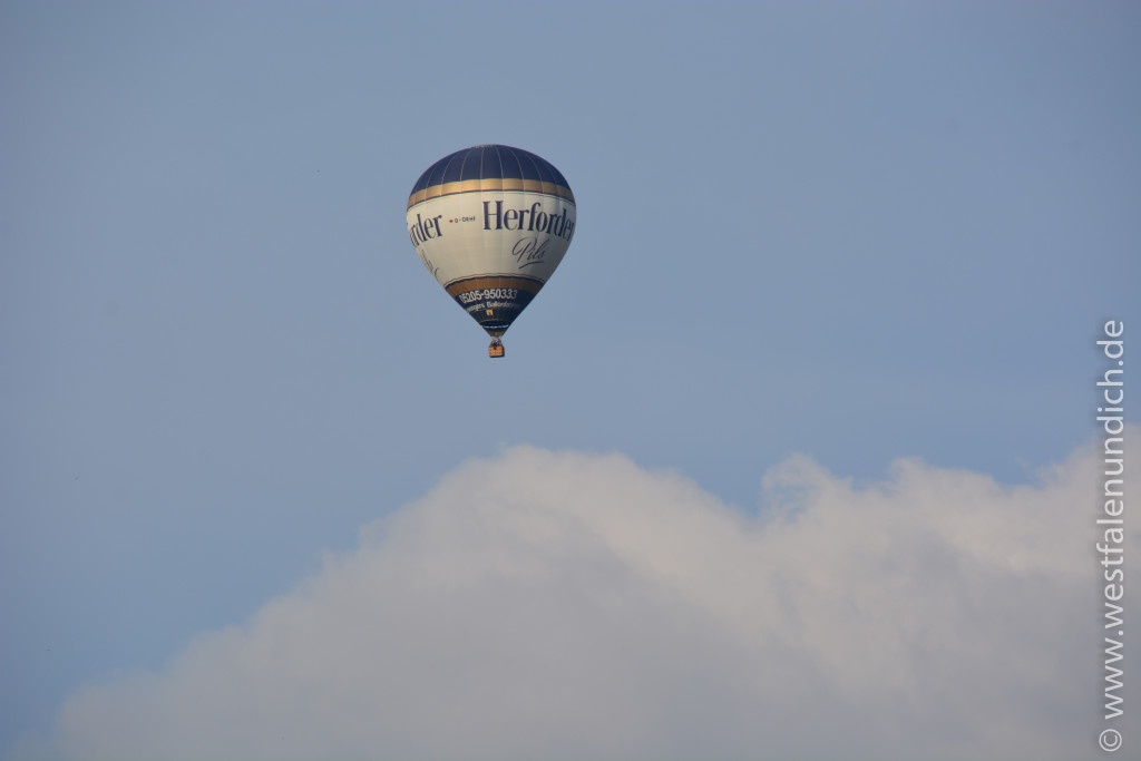 Heißluftballon - Bild 02