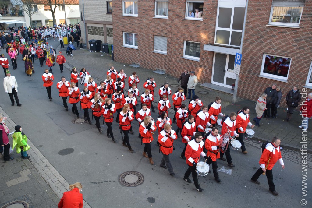 Steinheim - Karneval 2015 - Bild 02
